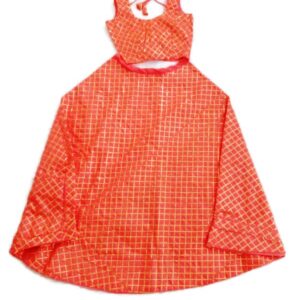 Umbrella Lehenga with blouse